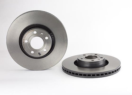 Brembo Rotor - Front