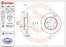 Brembo Rotor - Back/SKODA-OCTAVIA VRS PETROL OLD MODEL