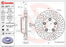 Brembo Rotor - Front/PORSCHE CARRERA