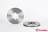 Brembo Rotor - Front/FORD-ENDEAVOUR OLD
