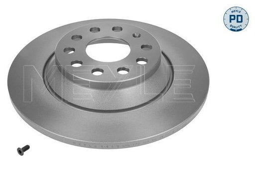REAR BRAKE DISC (SET OF 2 PCS) 300 MM OD VW : JETTA ( N/M )