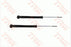 TRW Rear Shock Absorber - Left/Right - Getz