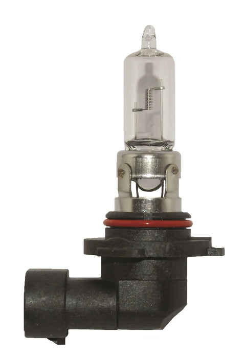Hella BULB HB3 12v 100w Xenon 4400k