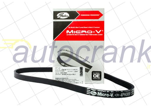 Gates Micro V CR Belt-Honda Accord
