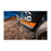 Overland Atlas Series Side Step Board - Isuzu